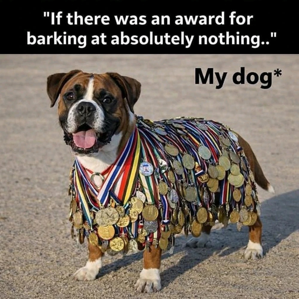 Image uploaded by Shannie