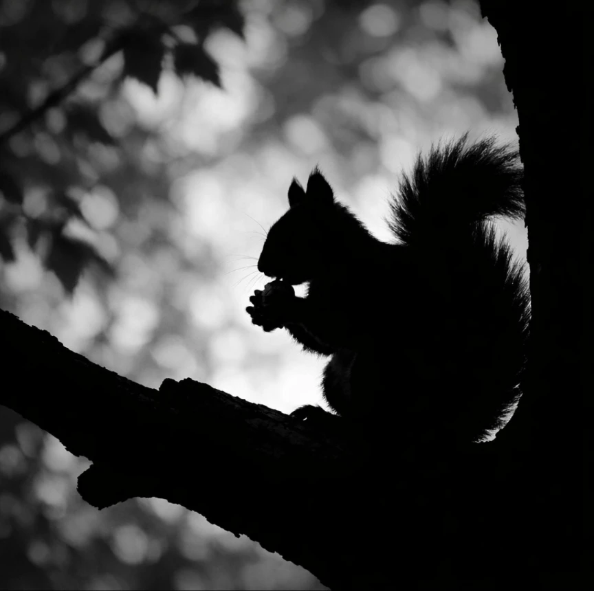 GIF hochgeladen von Mia