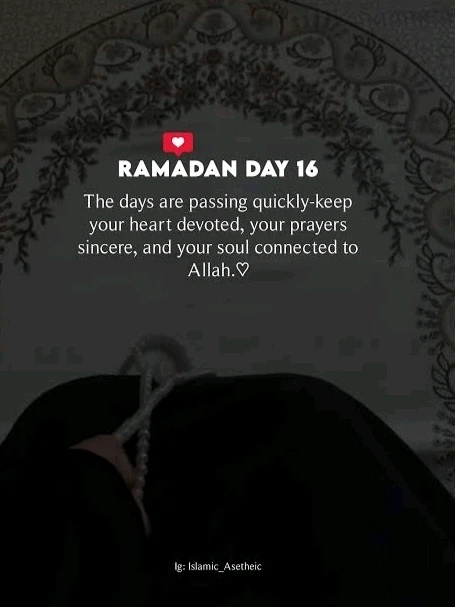 Image uploaded by 𝓢𝓮𝓻𝓮𝓷 • 𝓢𝓮𝓻𝓮𝓷𝓭𝓲𝓹𝓲𝓽𝔂