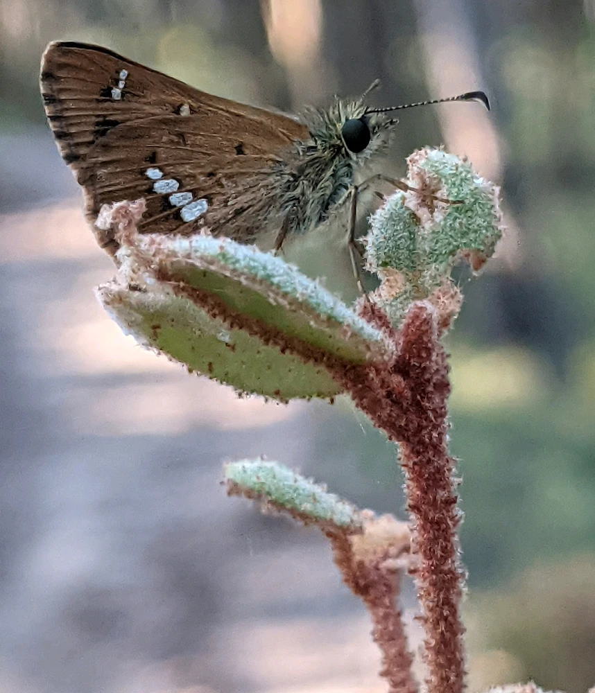 GIF uploaded by Chris