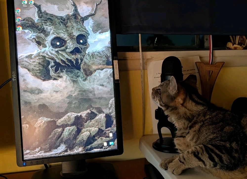 Image uploaded by Matt