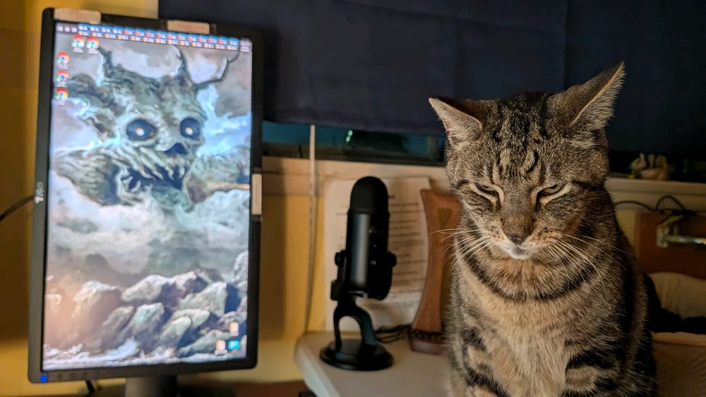 Image uploaded by Matt