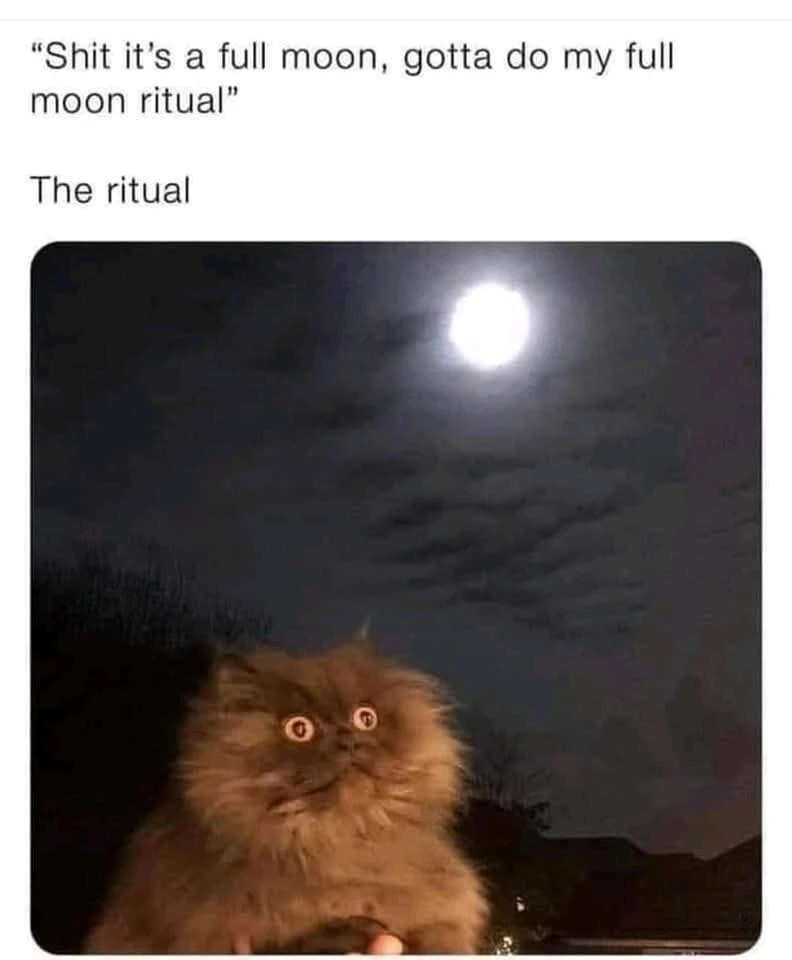 GIF hochgeladen von Hackfleischhassenderzerhacker