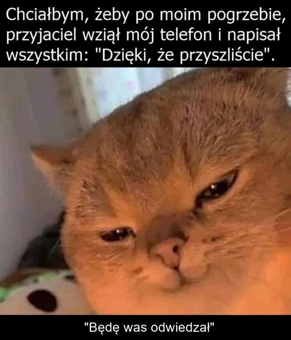 GIF dodany przez Michał