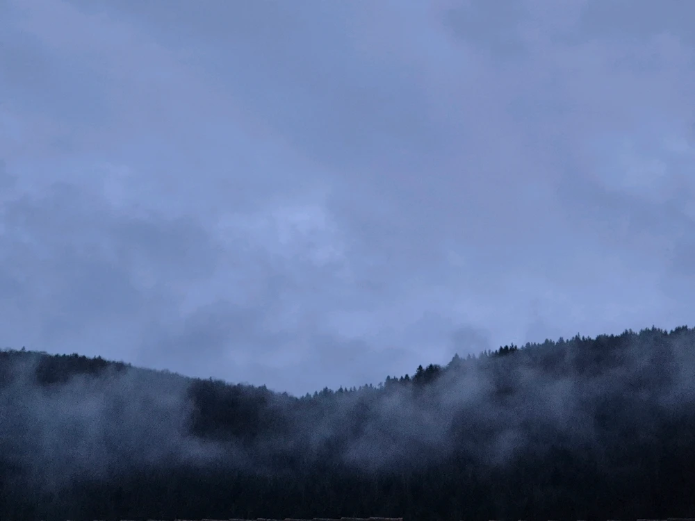 Image ajoutée par Stef