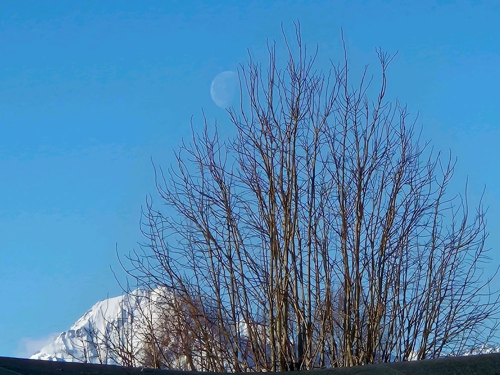 Image ajoutée par Stef