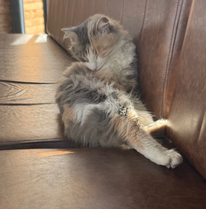 Ozan tarafından yüklenen GIF