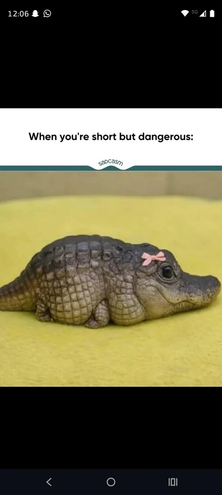 Image uploaded by Gaia