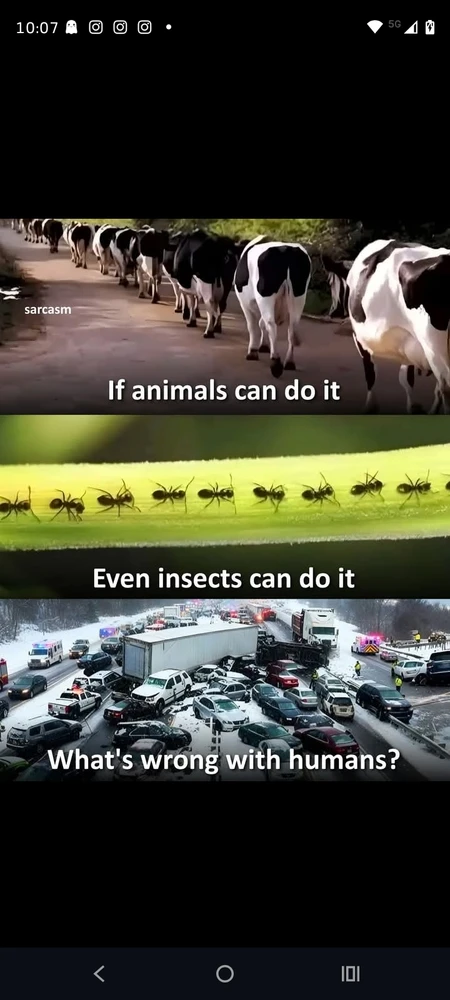 Image uploaded by Gaia