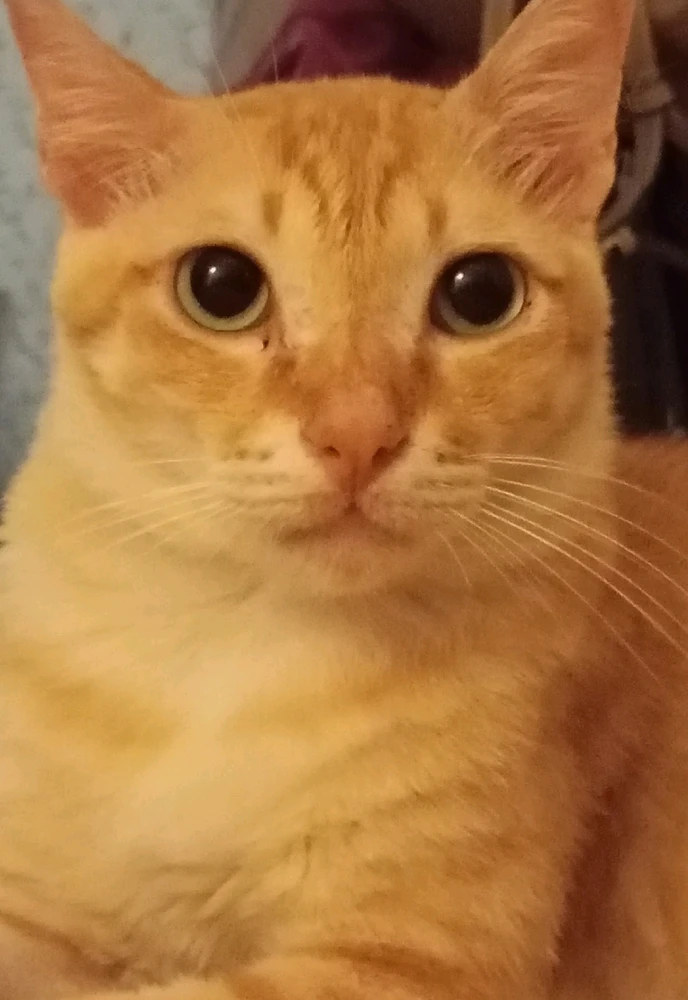 GIF uploaded by Dian Hahaha