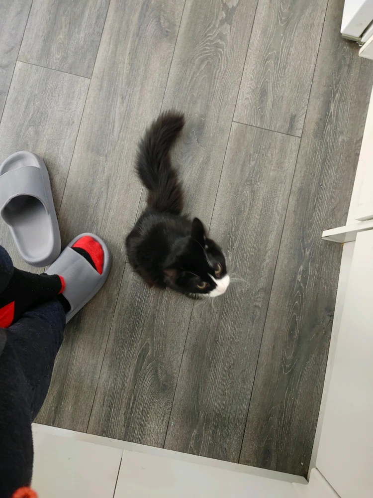 Image uploaded by Nicolae