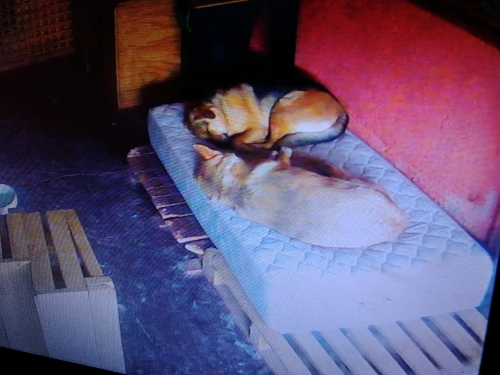 Imagen subida por Martina