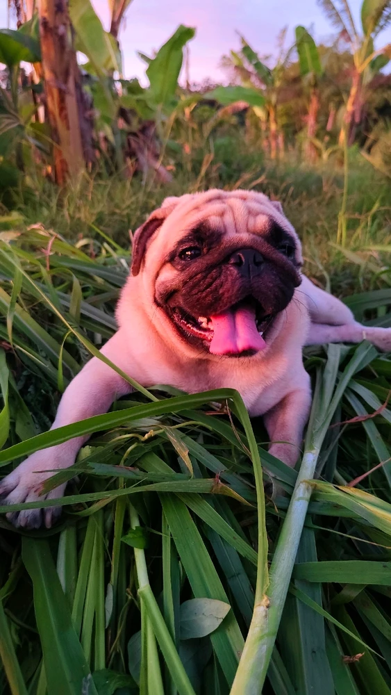 GIF uploaded by Aqua