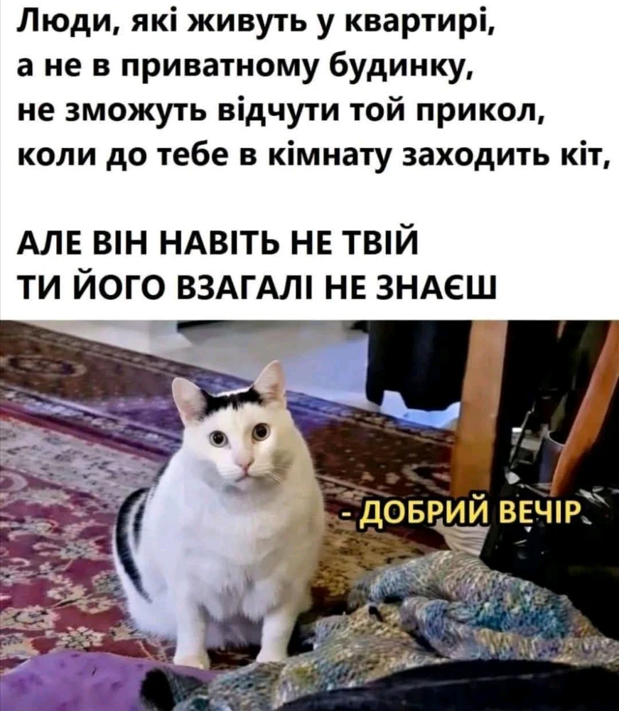 Гіфку завантажив Black Mirror (⁠◔⁠‿⁠◔⁠)