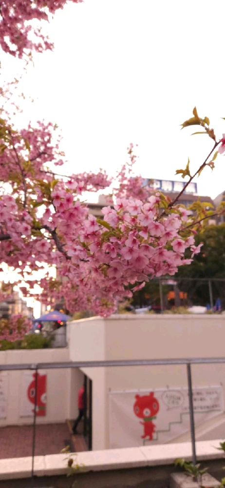 Image uploaded by Ralph Laurence