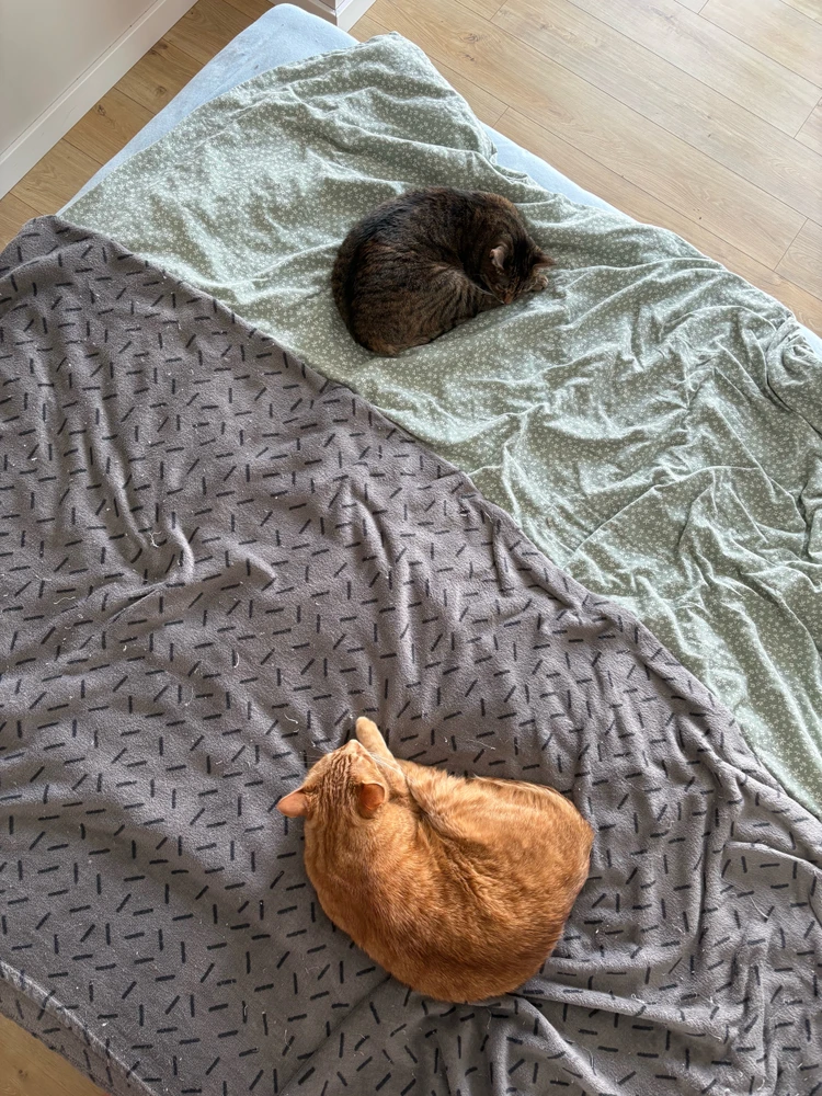 GIF uploaded by iBall