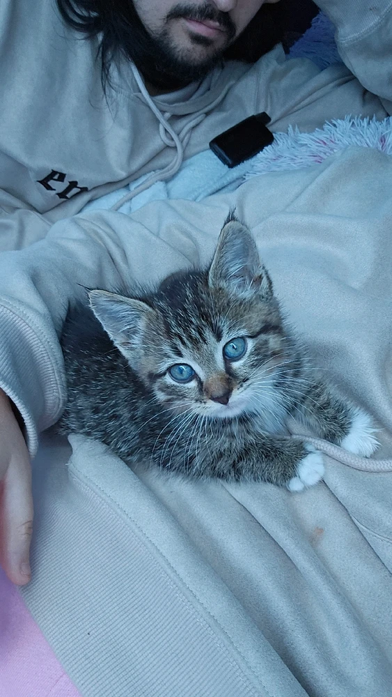 Image ajoutée par Donovan