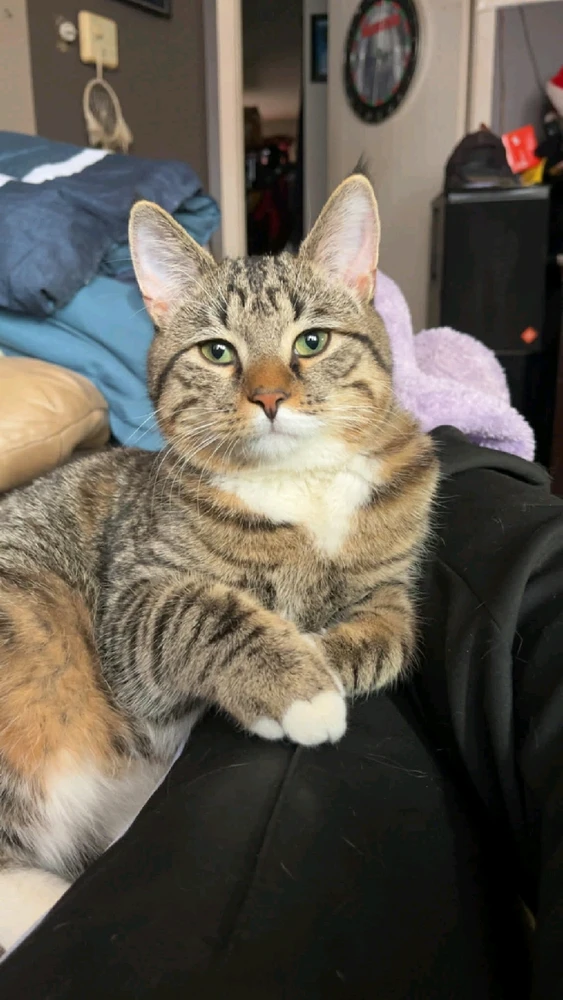 Image ajoutée par Donovan