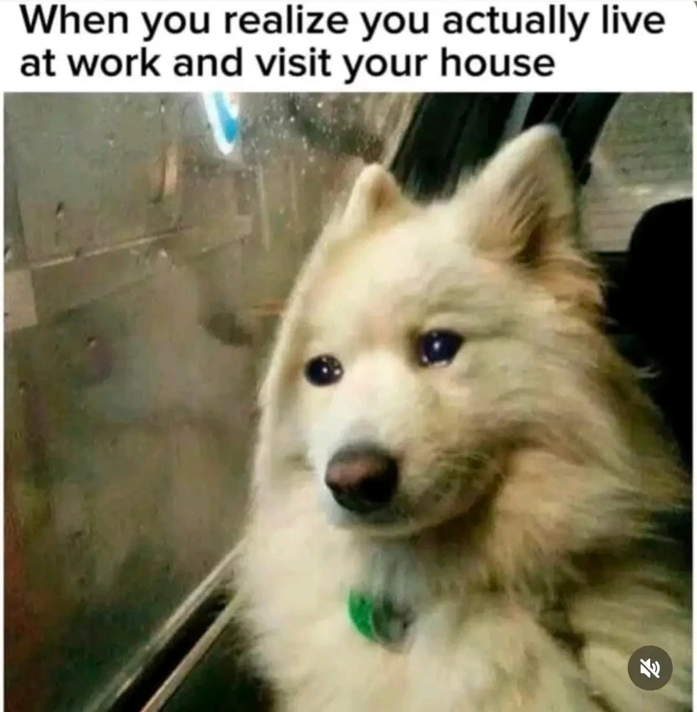 GIF uploaded by Idta