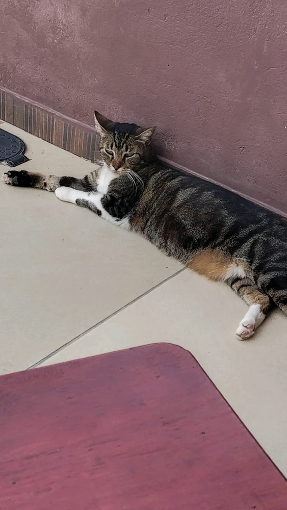 GIF uploaded by Iuri