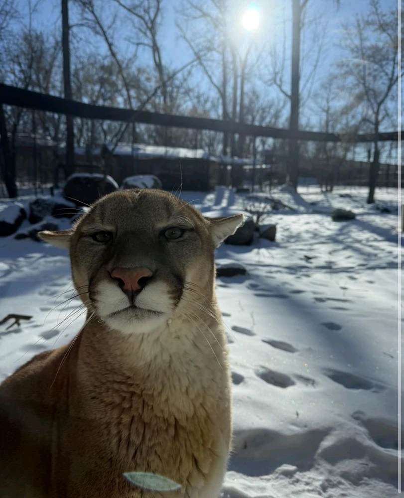 GIF uploaded by Holly