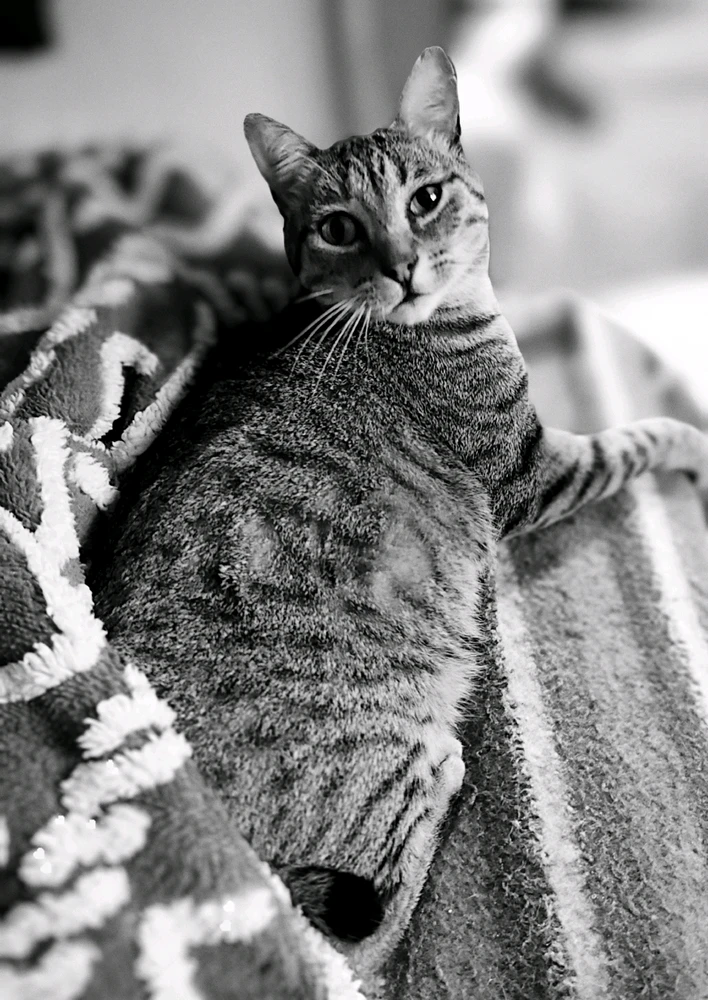 GIF subido por Andres