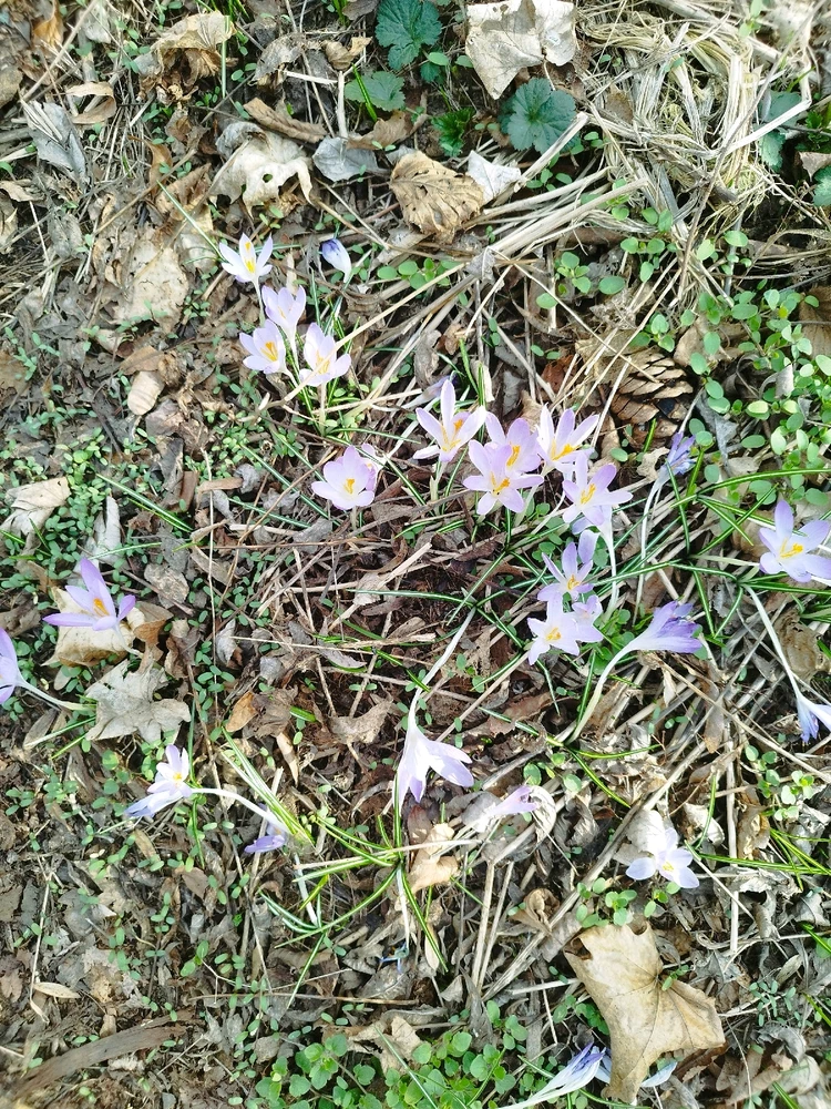 GIF hochgeladen von Tobias