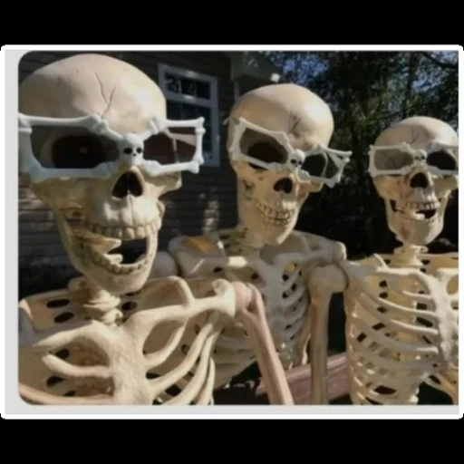 Oğuz tarafından yüklenen GIF