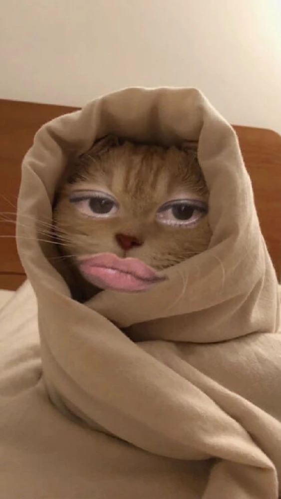 GIF uploaded by Claudine