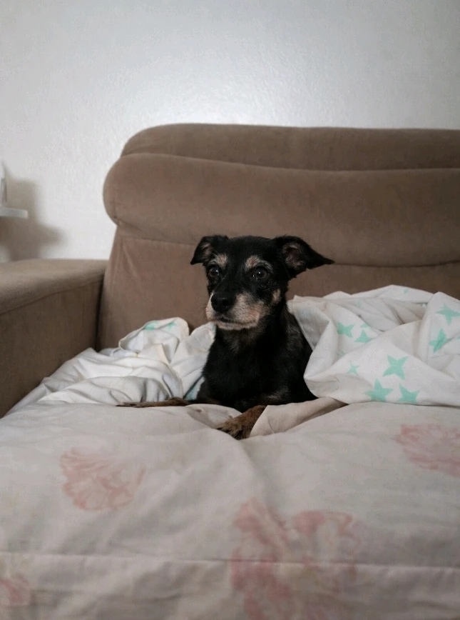 GIF enviado por Tatiane