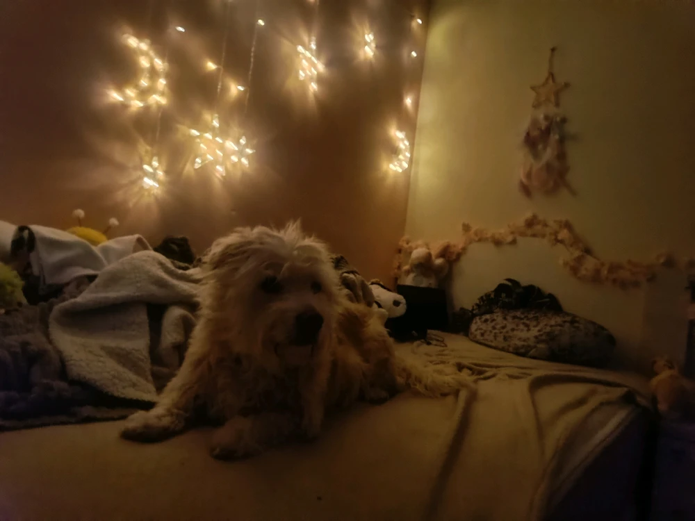 Imagen subida por Milly