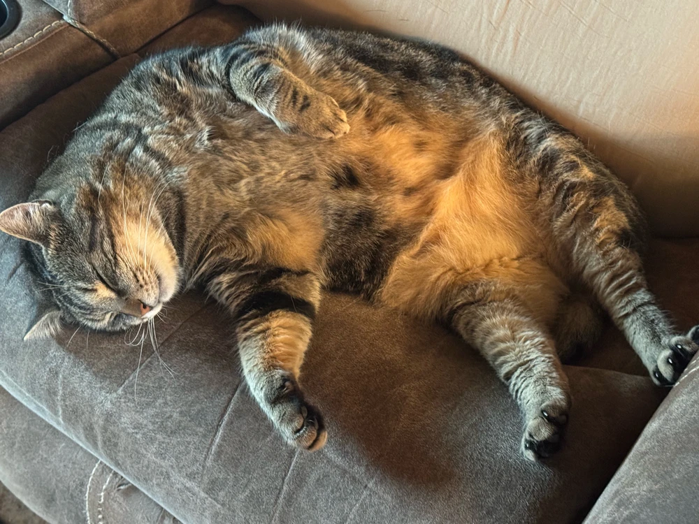 GIF uploaded by Matthew