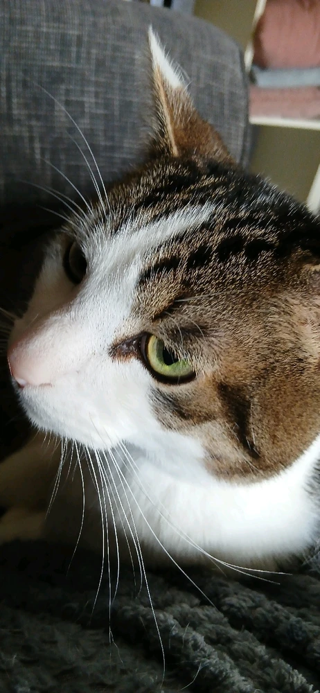 GIF uploaded by remy