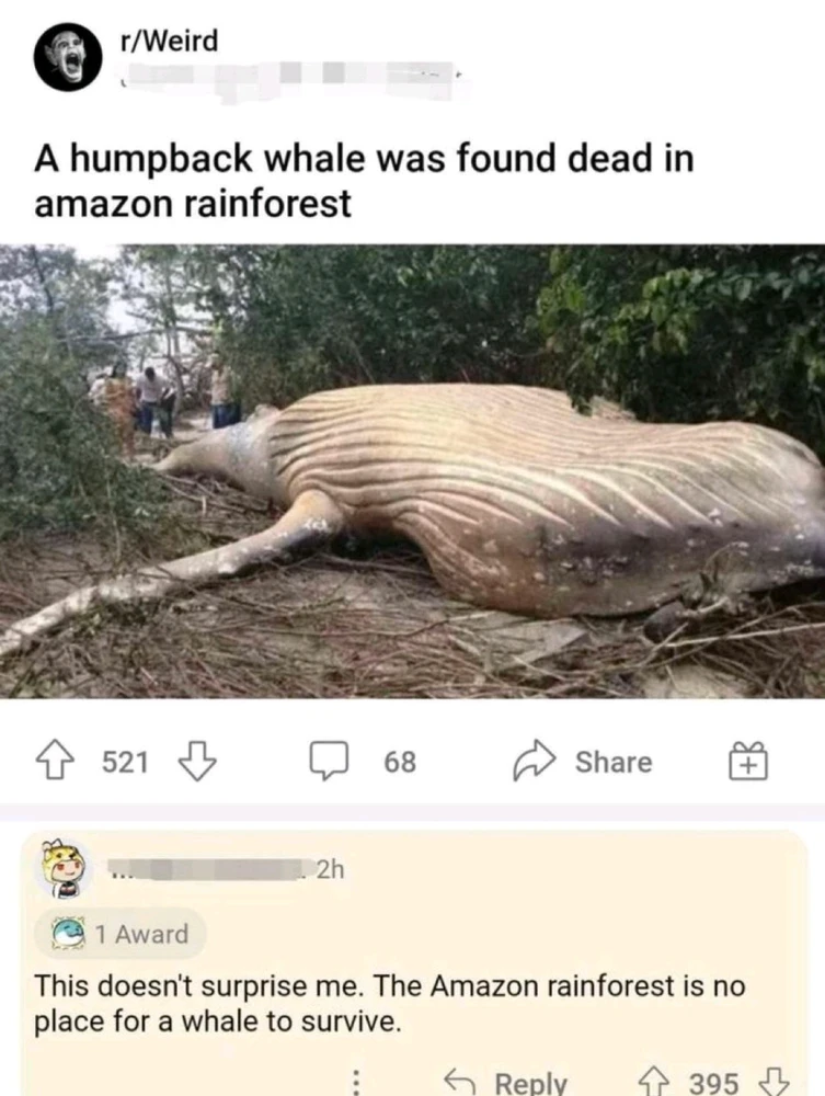 GIF uploaded by Michalis