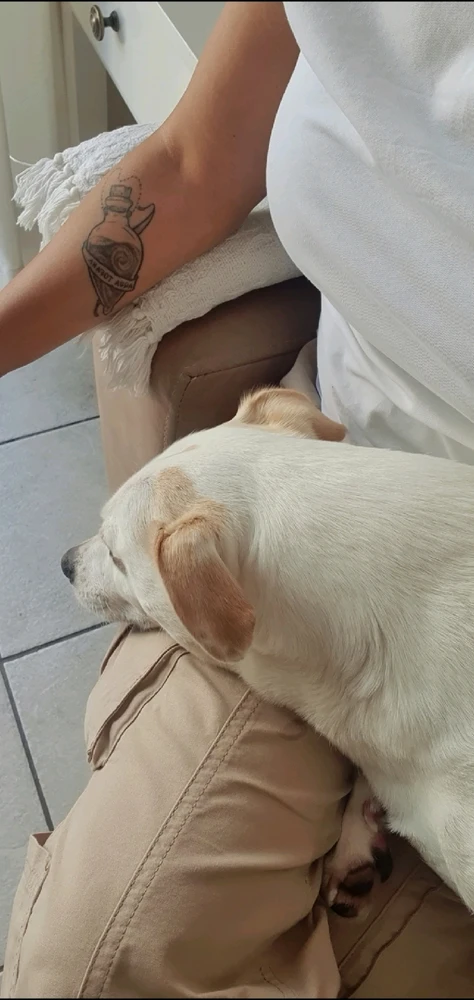 Image uploaded by MissC