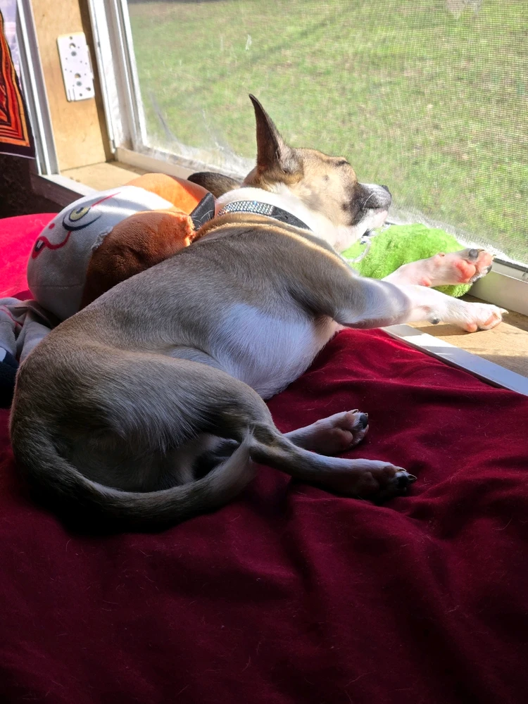 GIF uploaded by gabriella