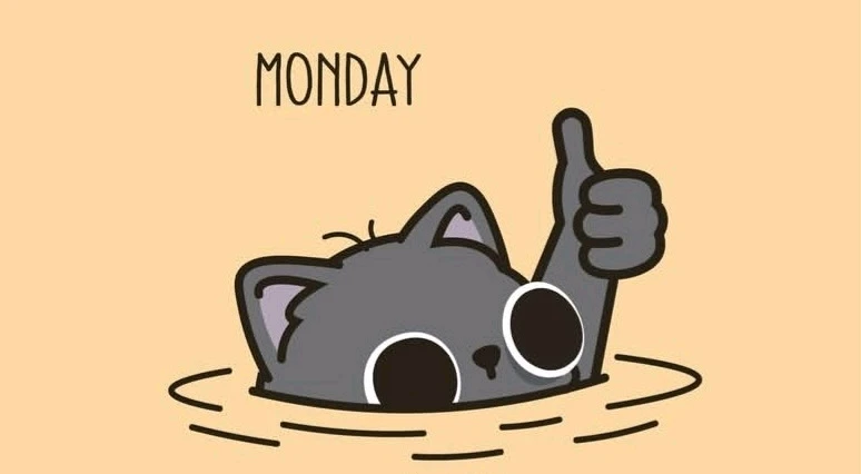 GIF uploaded by Phoebe