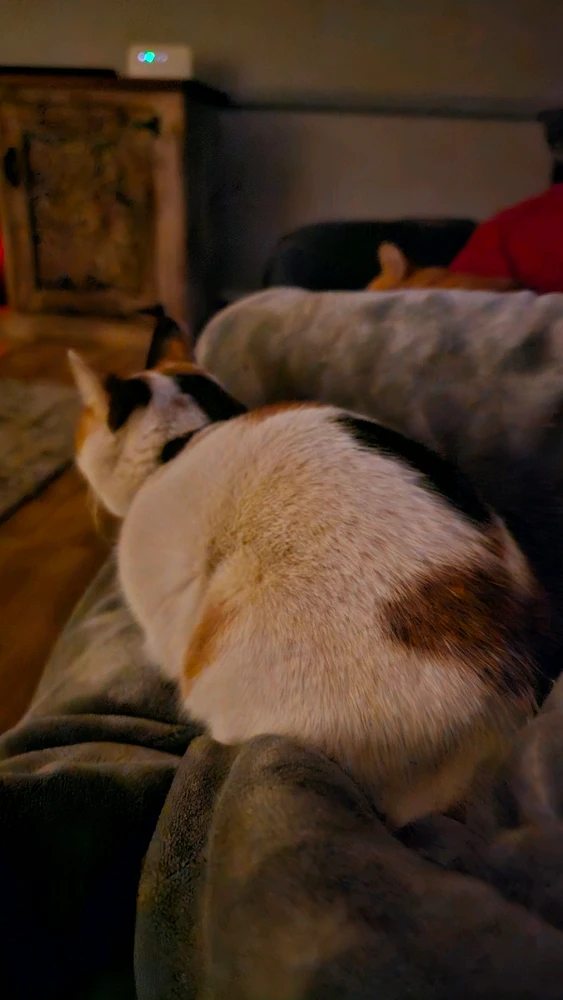 GIF uploaded by Jacobus