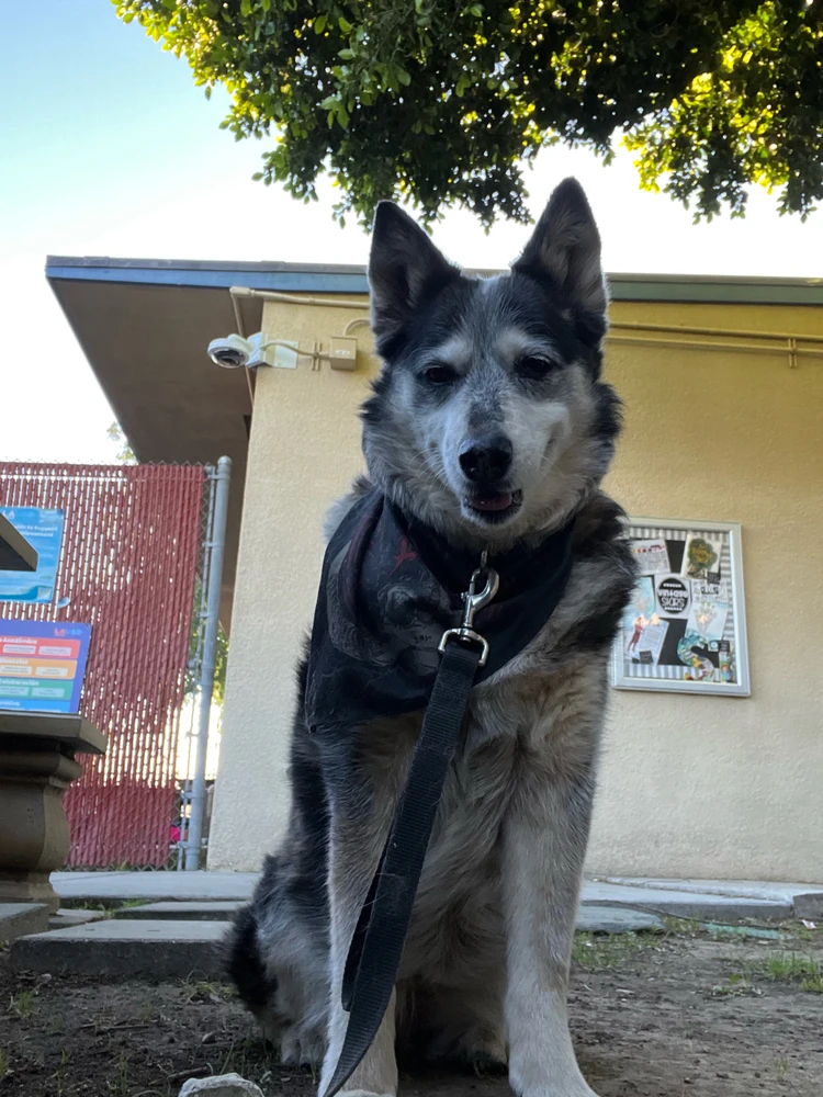 GIF uploaded by Aiden