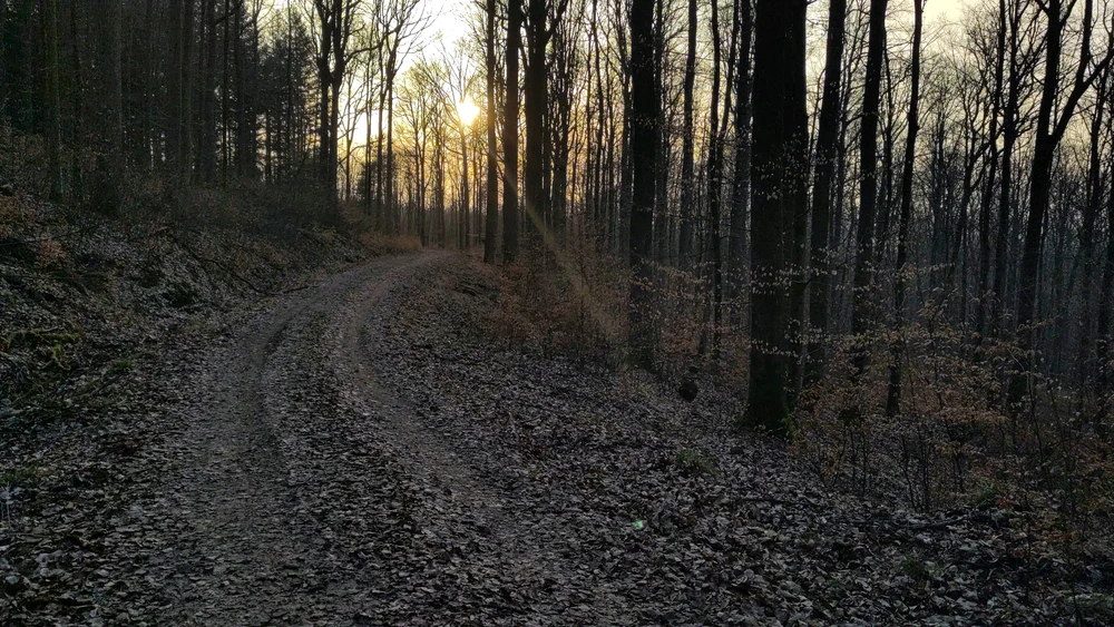 Bild hochgeladen von Basti