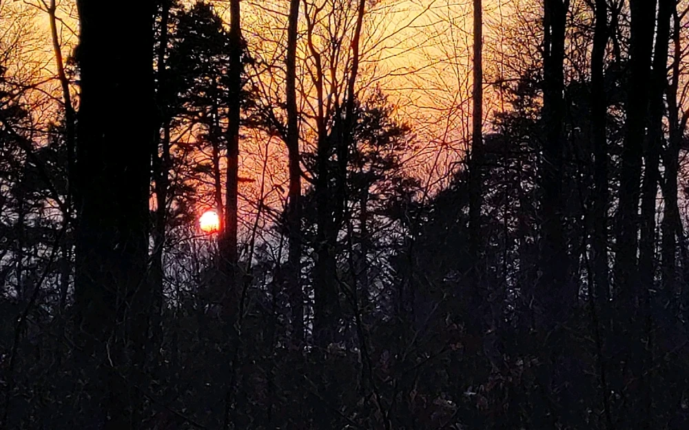 Bild hochgeladen von Basti