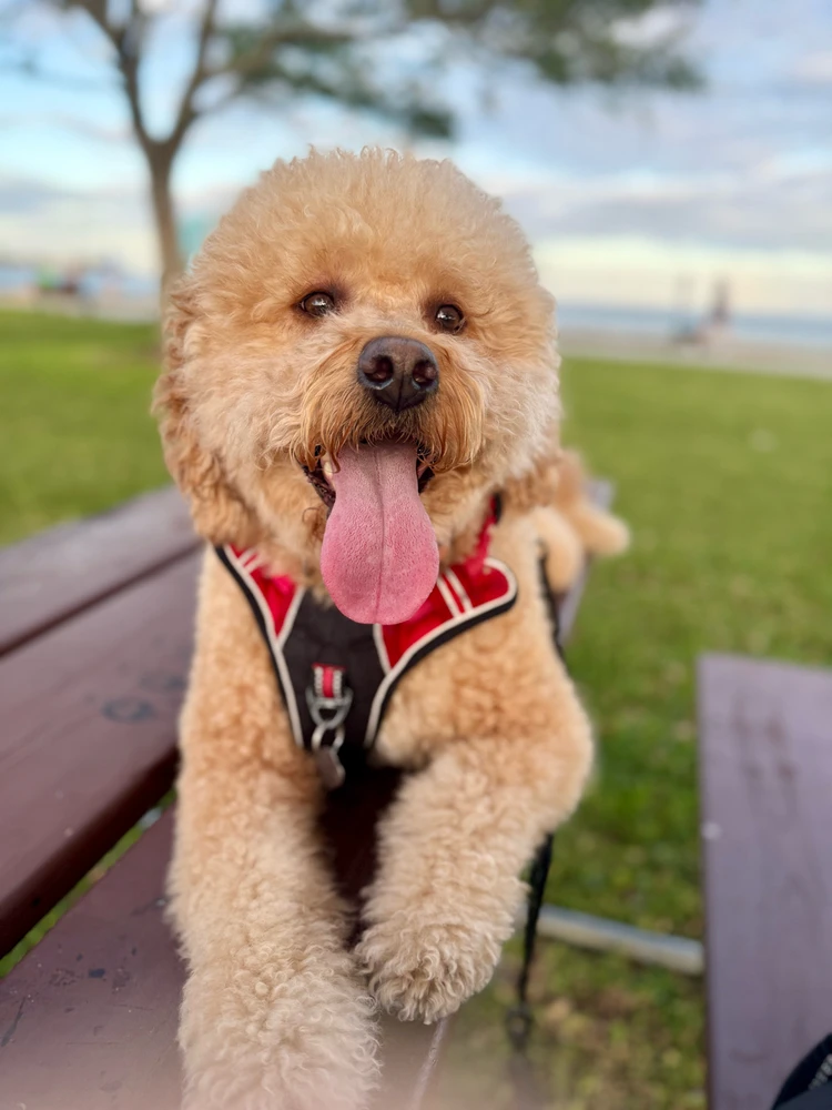 GIF uploaded by Joseph