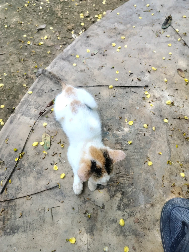 GIF uploaded by Tessy