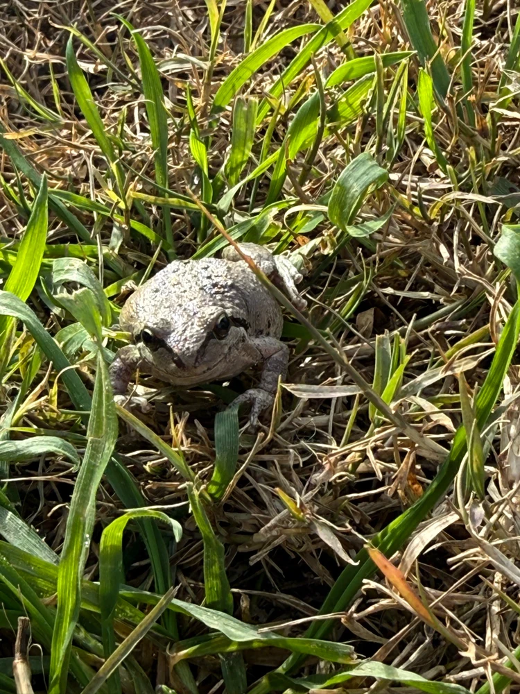 Image uploaded by Anthony