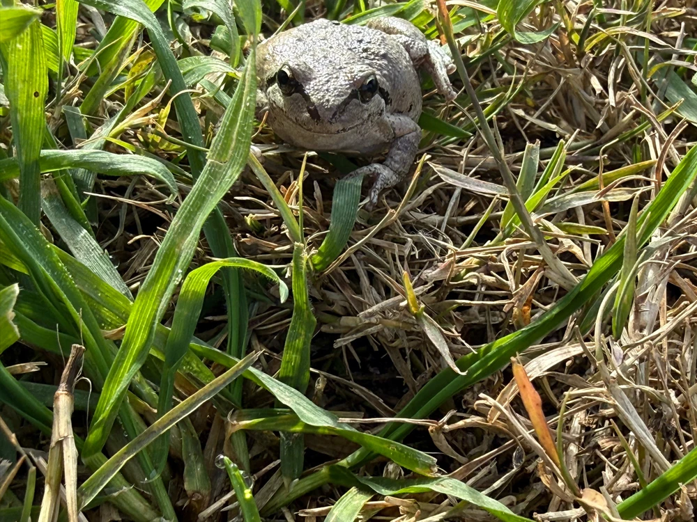 Image uploaded by Anthony