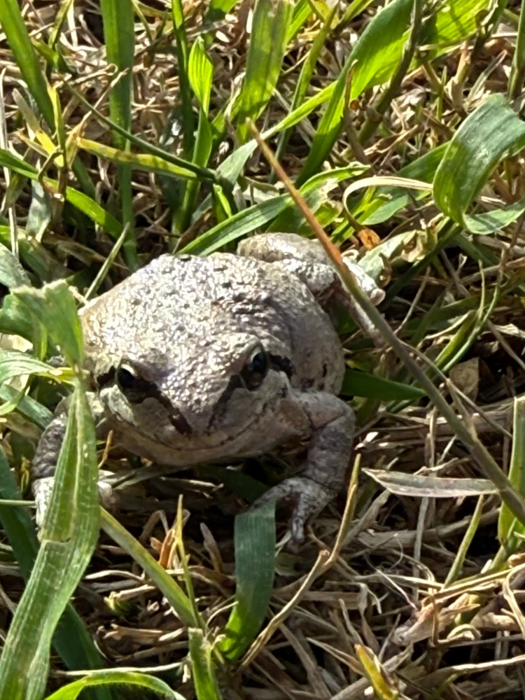 Image uploaded by Anthony