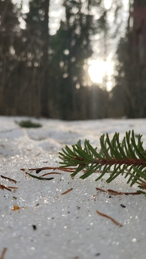 GIF uploaded by Raimonds