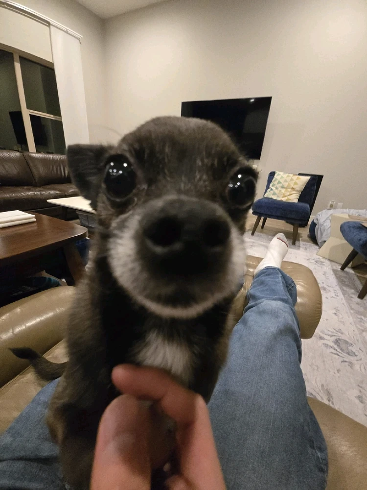 Image uploaded by Aaron