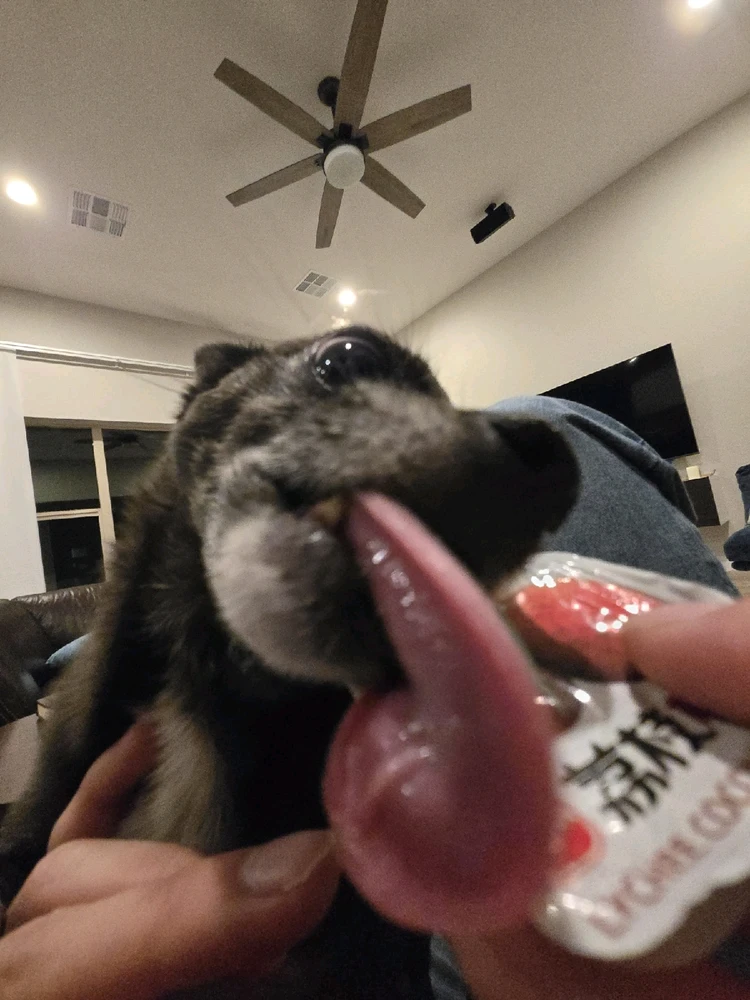 Image uploaded by Aaron