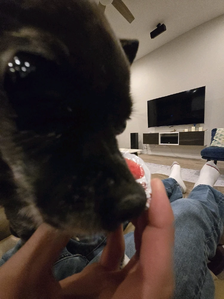 Image uploaded by Aaron